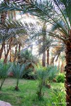 "Le Jardin" a Zagora